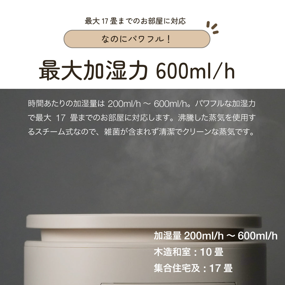 ROSY LILY スチーム加湿器 3L EH30PI 延長保証セット